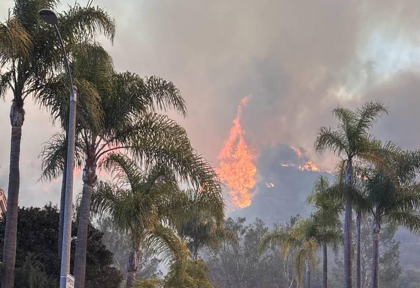 Palisades Fire from Palisades Drive, highlighting the extnt of the California Wildfires.